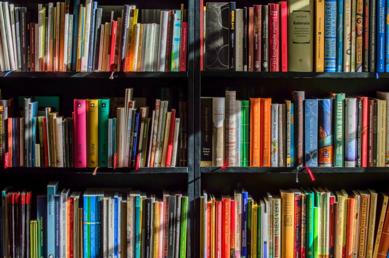 ecommerce-BARJOLS-min_books_bookstore_book_reading_shop_writer_sale_books_read-822866